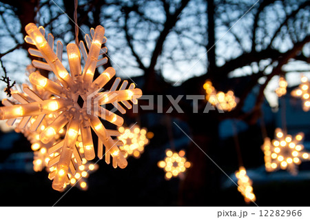 クリスマスライト 12282966
