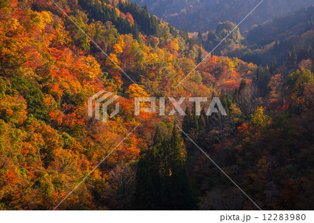 紅葉の山 12283980