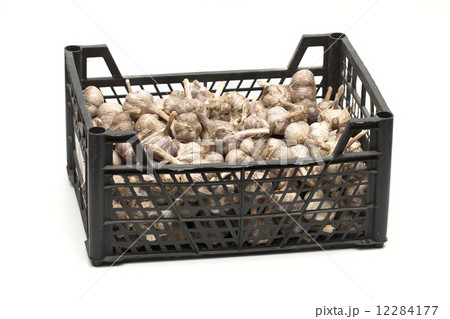 garlic on the white background garlic on the white background 12284177