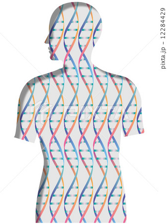 人体シルエットの中の二重螺旋構造パターンのイラスト素材