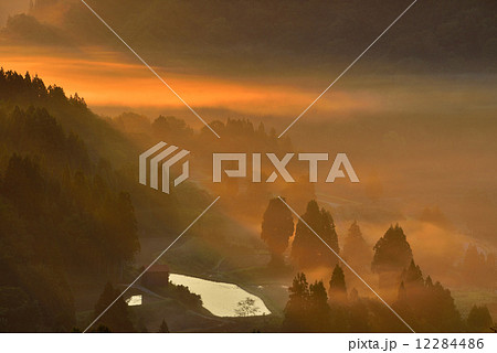 星峠の棚田 12284486