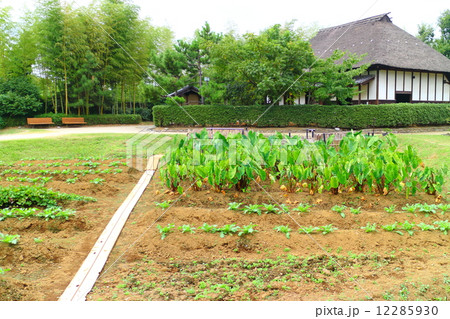 古民家（旧野口家住宅）と畑 12285930