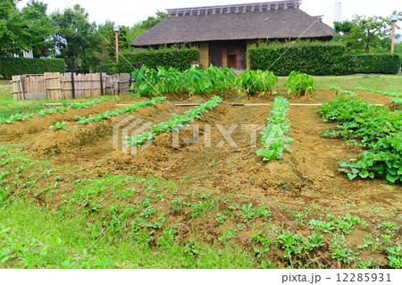 長屋門（旧武笠家表門）と畑 12285931