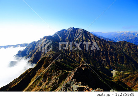 唐松岳方面から見た五竜岳 12285939