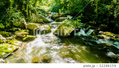 yellow creek falls great smoky mountains yellow creek falls great smoky mountains 12286159