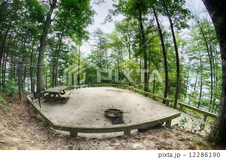 Heavily wooded camp site ready for campers 12286190