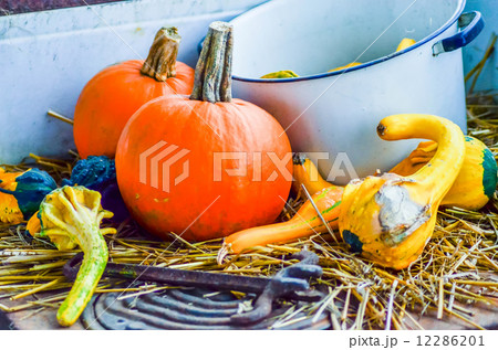 pumpkins decorations 12286201