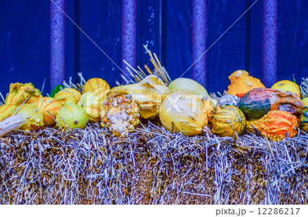 pumpkins decorations pumpkins decorations 12286217