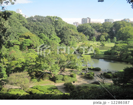 六義園 六義園 12286387