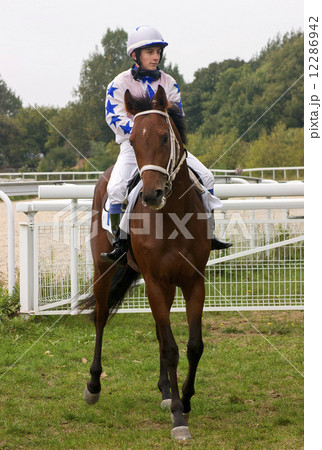 The jockey. 12286942