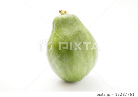 青パパイヤ 12287761