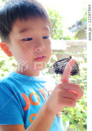指にとまる蝶を見つめる子供の写真素材