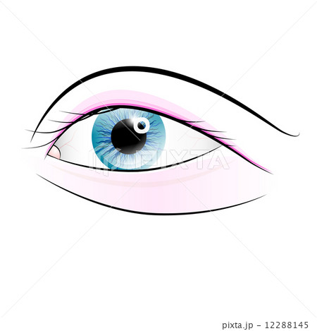 Vector Human Eye Isolated on White Background Vector Human Eye Isolated on White Background 12288145
