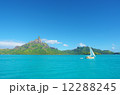 オテマヌ山 12288245