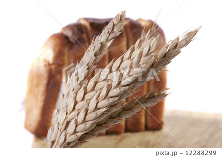 Bread and spike of wheat  12288299