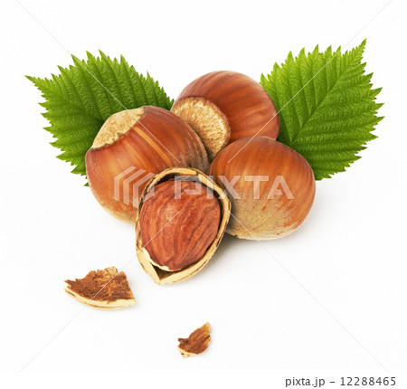 hazelnuts with leaves 12288465