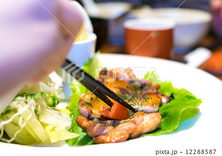 Hand Chopsticks Grilled Chicken with Egg and Salad 12288587