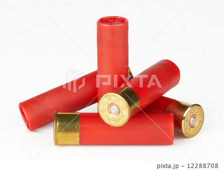 shotgun shells 12288708