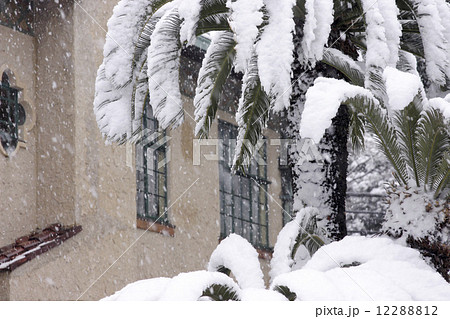 山手洋館の雪景色 山手洋館の雪景色 12288812