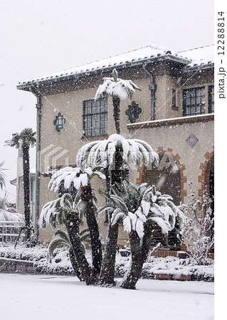 山手洋館の雪景色 12288814