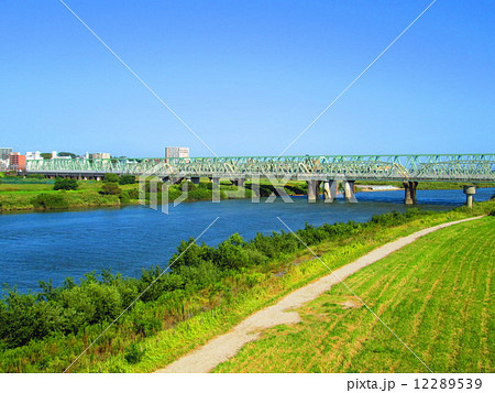 利根川橋梁 12289539