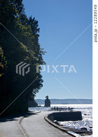 スタンレーパーク 12289549