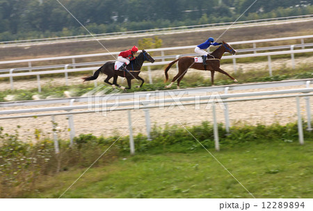 Horse racing. Horse racing. 12289894
