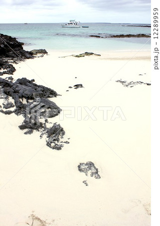 南米エクアドルの太平洋上に浮かぶ生物進化論の島、ガラパゴス諸島サンタフェ島のビーチ 南米エクアドルの太平洋上に浮かぶ生物進化論の島、ガラパゴス諸島サンタフェ島のビーチ 12289959