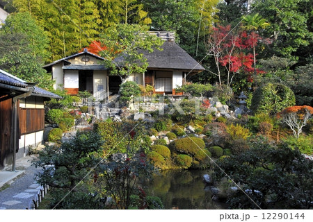 京都等持院庭園の紅葉風景 12290144