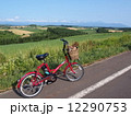 サイクリング 12290753