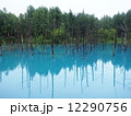青い池 12290756