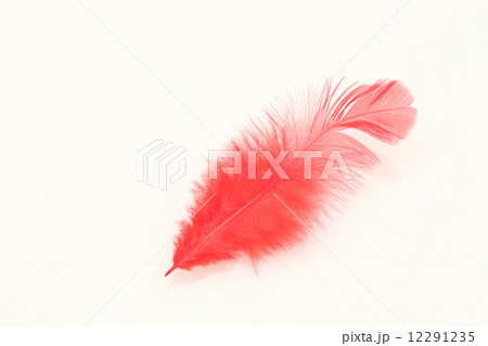 赤い羽根 12291235