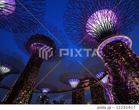 シンガポール　ガーデンズバイザベイ　スーパーツリーグローブ 12291917