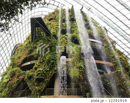 シンガポール　ガーデンズバイザベイ　クラウドフォレスト 12291919