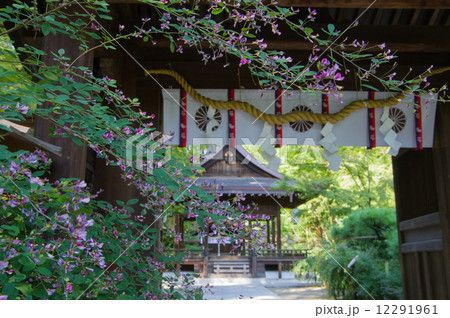梨木神社の萩の花 12291961