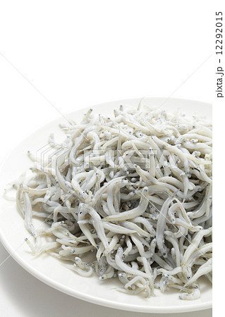 釜揚げシラス 釜揚げシラス 12292015