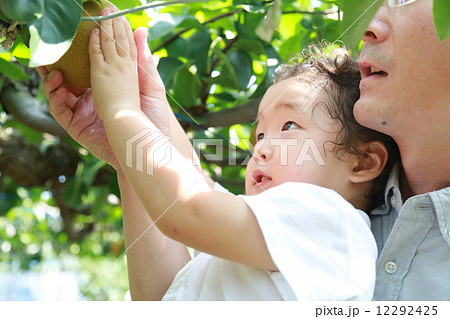 梨狩り！ 12292425