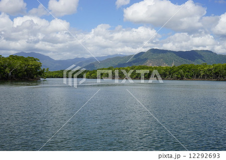 オーストラリア ケアンズ マングローブ林 オーストラリア ケアンズ マングローブ林 12292693