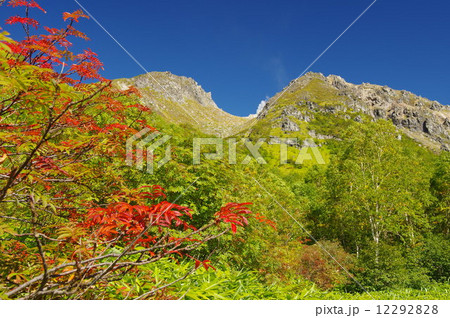 焼岳と紅葉 12292828