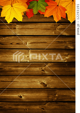wooden background with autumn maple leaves 12293191