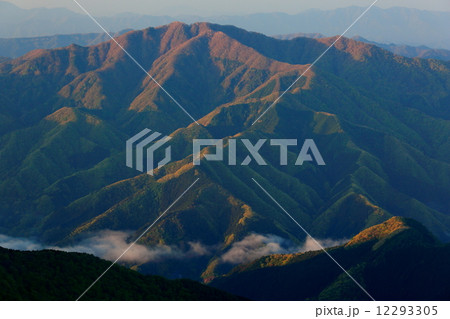 奥多摩・鷹ノ巣山から見る朝の三頭山 12293305