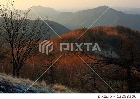 奥多摩・鷹ノ巣山山頂から見る朝の御前山と大岳山 12293306