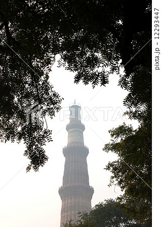 qutub minar around tree leaves qutub minar around tree leaves 12293447