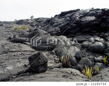 キラウエア火山の溶岩 12293734