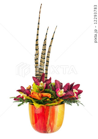 Bouquet from artificial orchid flowers and feathers of pheasant. Bouquet from artificial orchid flowers and feathers of pheasant. 12293783