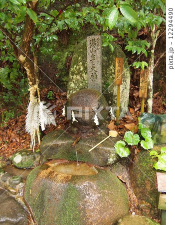 玉作湯神社　願い石 12294490