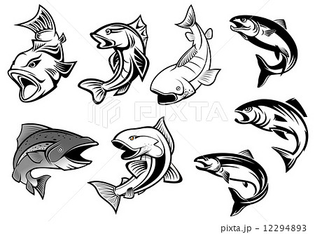 Cartoon salmons fish set Cartoon salmons fish set 12294893