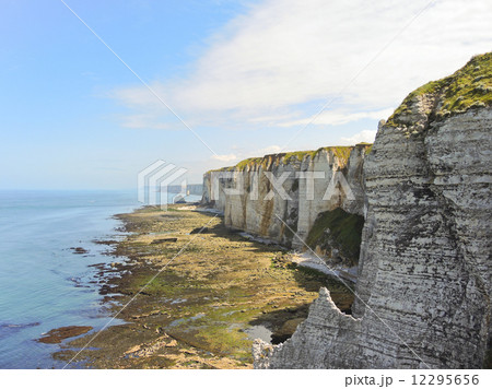 cote d'albatre of english channel during low tide 12295656