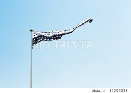 flag of Brittany in Loire-Atlantique, France 12296033