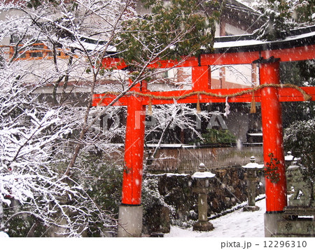 宇治神社の鳥居 12296310